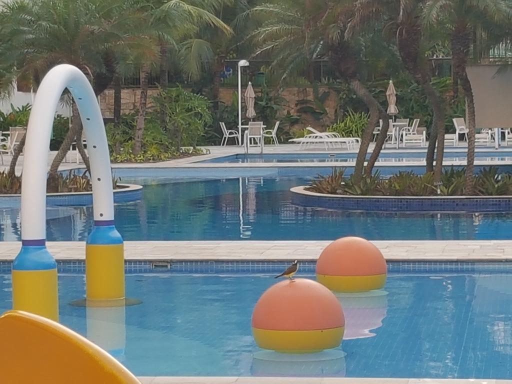 Sweet Comfort Apartment In Rio Ρίο ντε Τζανέιρο Εξωτερικό φωτογραφία